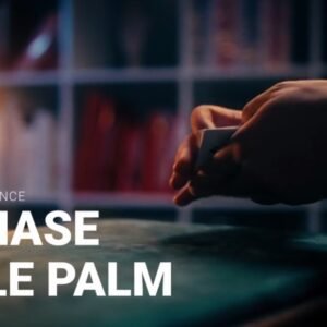 Erdnase table palm - Ben Earl