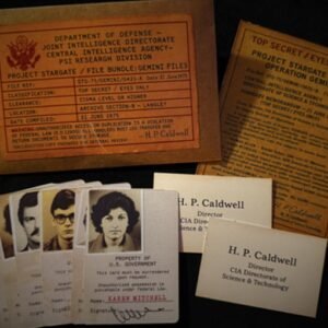 Gemini Files by Dead Rebel Magic