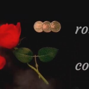 Rose and Coin by Shawn Lee