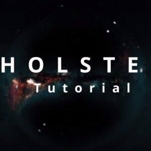 Holster by Alex and Kevin Chao