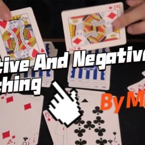 Positive And Negative Matching By Miku W