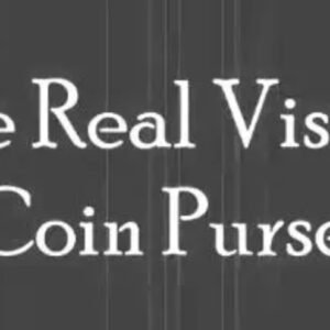 The Real Vision Coin Purse by Airship Magic