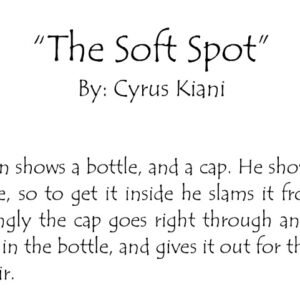 The soft spot by cyrus kiani