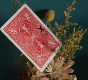 WZ - XX Writing Moving