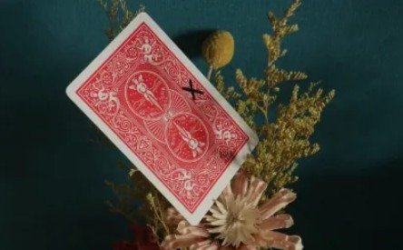 WZ - XX Writing Moving