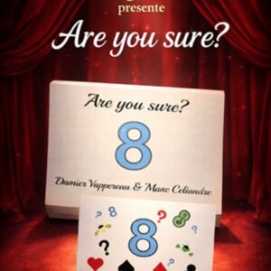Are You Sure by Damien Vappereau and Marc Celiandre