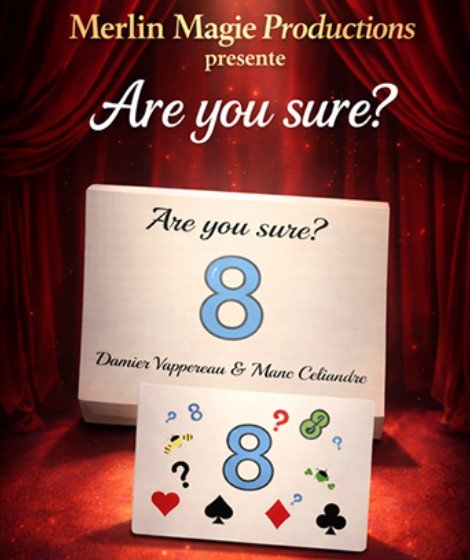 Are You Sure by Damien Vappereau and Marc Celiandre