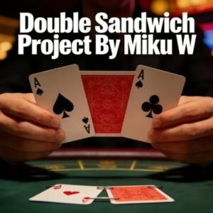 Double Sandwich Project By Miku W