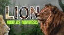 Lion by Nikolas Mavresis