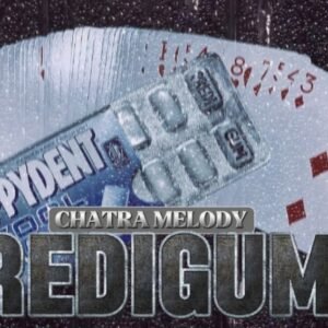 Predigum by Melody chatra