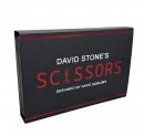Scissors by David Stone - Hanson Chien Present