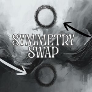 Symmetry Swap by Enoch Lambrecht