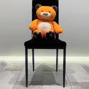 THE BEST CHAIR FOR APPEARANCE by Wonder Makers