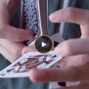 Wind Up Toy by Patrick Varnavas