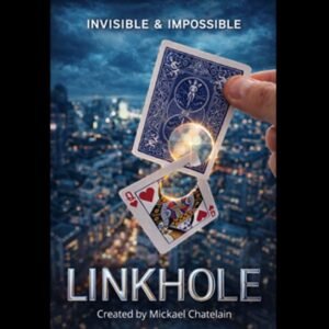 LINKHOLE by Mickael Chatelain.