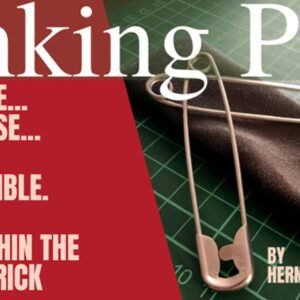 Linking Pins by Hernan Maccagno.