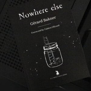 presale price – Nowhere Else by Gerard Bakner