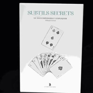 Subtle Secrets 2 by Thibault Ternon