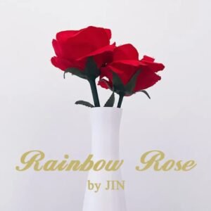 Rainbow Rose by JIN
