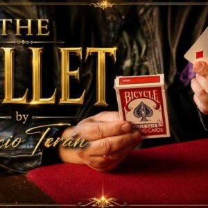 The Bullet by Patricio Teran