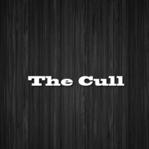 Card Sleights And Technique - The Cull.