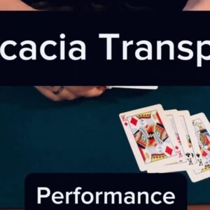 Keito K - Acacia Transpo.