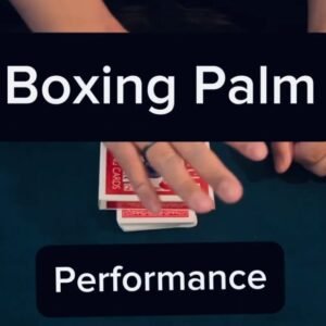 Keito K - Boxing Palm.