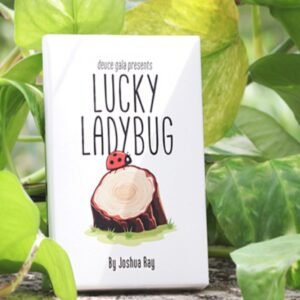 Lucky Ladybug (Leaf version 2026) by Joshua Ray and Deuce Gala Magic.
