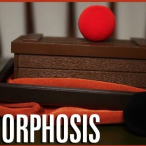 MINI MORPHOSIS ou LA MINI-MALLE DES INDES by Tenyo