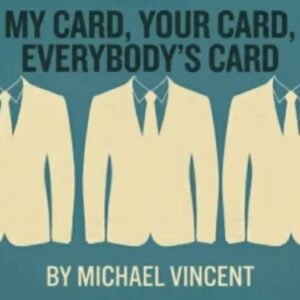 Michael Vincent - My Card, Your Card, Everybodys Card