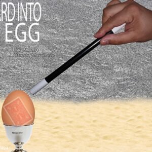 THE CARD INTO THE EGG by Alan Alfredo Marchese and Aprendemagia.