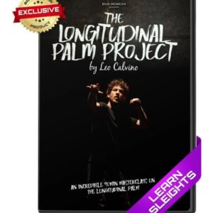 The Longitudinal Palm Project with Leo Calvino