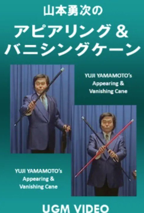 Appearing and Vanishing Cane by Yuji Yamamoto