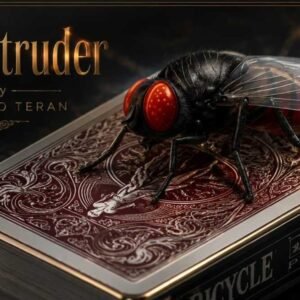 The Intruder by patricio Teran.