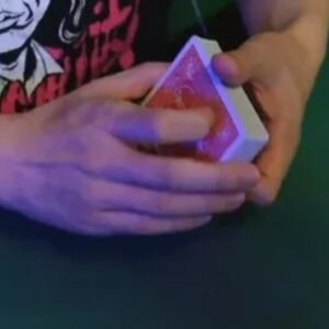 False Cut by Nobuyuki Nojima (Japanese)